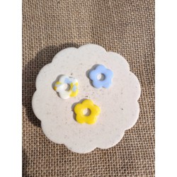 Fleurs Jaune Rainbow