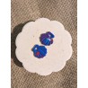 Coquillage blue Rainbow