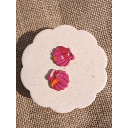 Coquillage Pink Rainbow