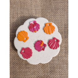 Coquillage Pink Rainbow