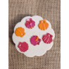 Coquillage Pink Rainbow
