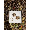 Fleurs XL Automne