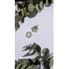 Fleurs XL précieuses