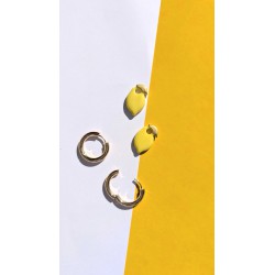 Citrons siciliens