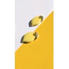 Citrons siciliens
